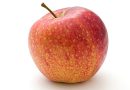 Dyrk de mest udbytterige æbletræer i din have